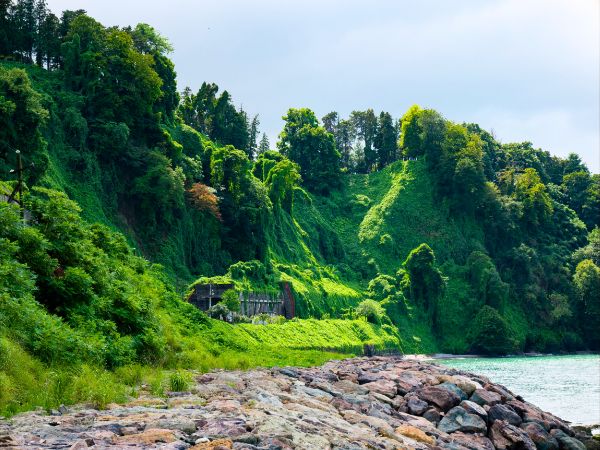 What Only Locals Know About Batumi An Insider’s Guide for Chinese Travellers